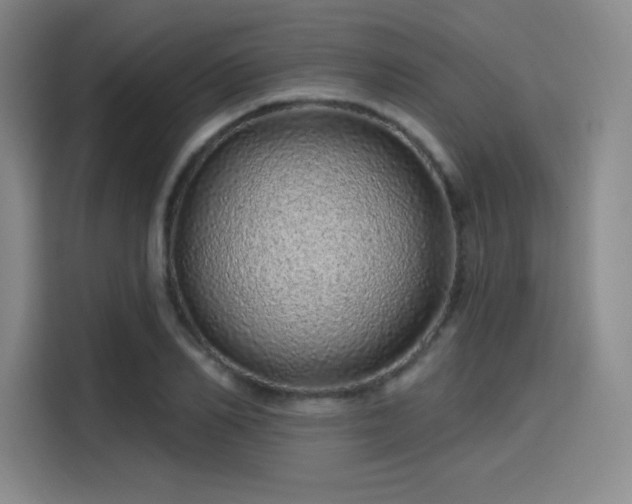 X0000114200982200910161221