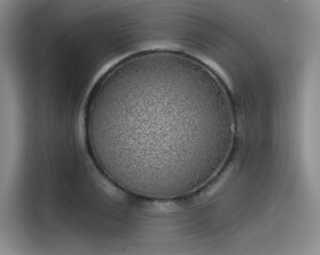 X0000114200983200910161221