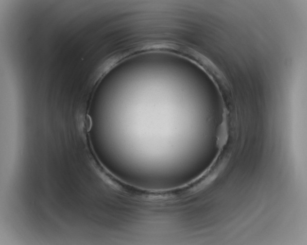 X0000114200985200910161221