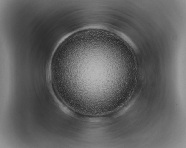 X0000114200988200910161221