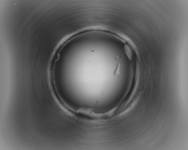 X0000114200989200910161221