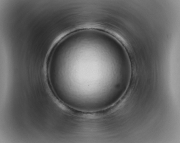 X0000114200990200910161221