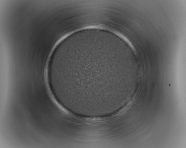 X0000114200991200910161221