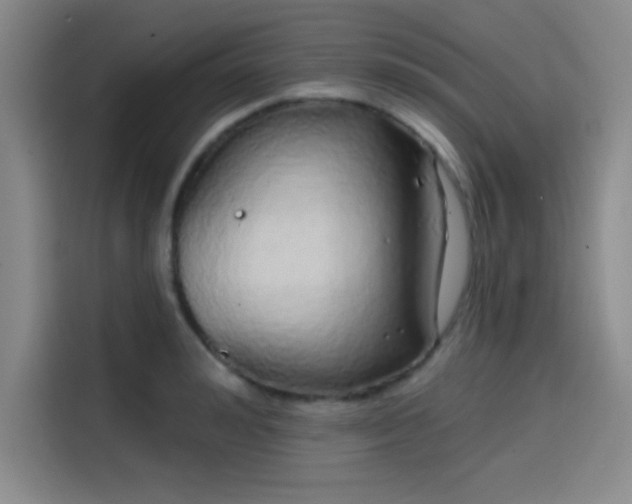 X0000114200992200910161221