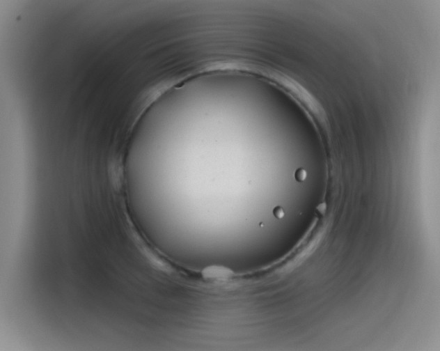 X0000114200993200910161221