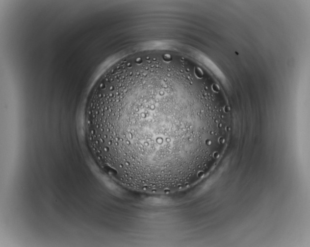 X0000114200994200910161221