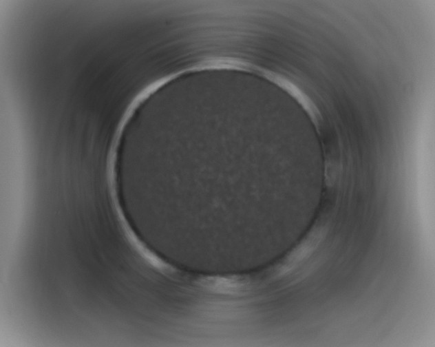 X0000114200995200910161221