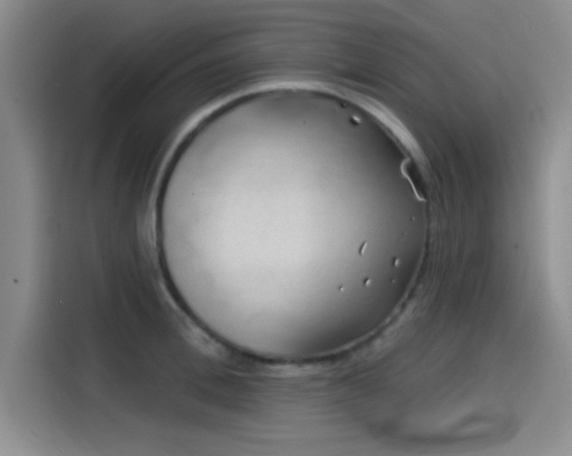 X0000114200996200910161221