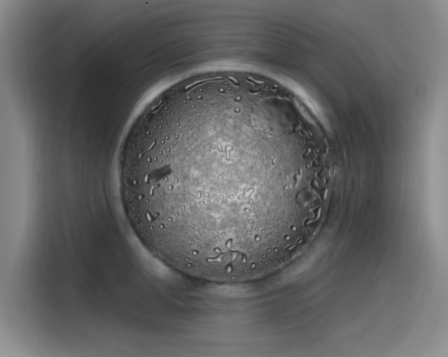 X0000114200998200910161221