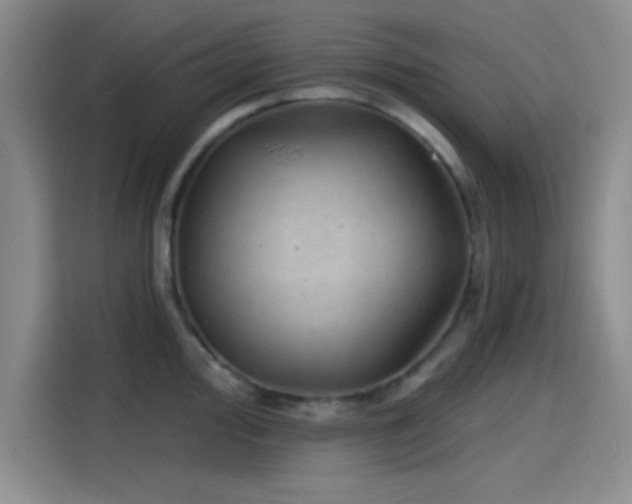 X0000114201000200910161221