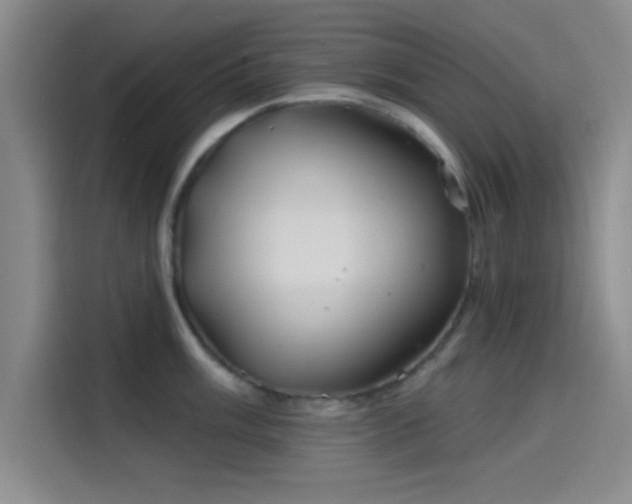 X0000114201003200910161221