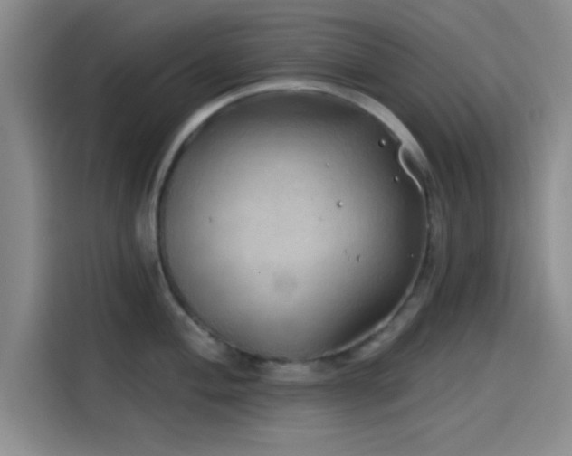 X0000114201004200910161221