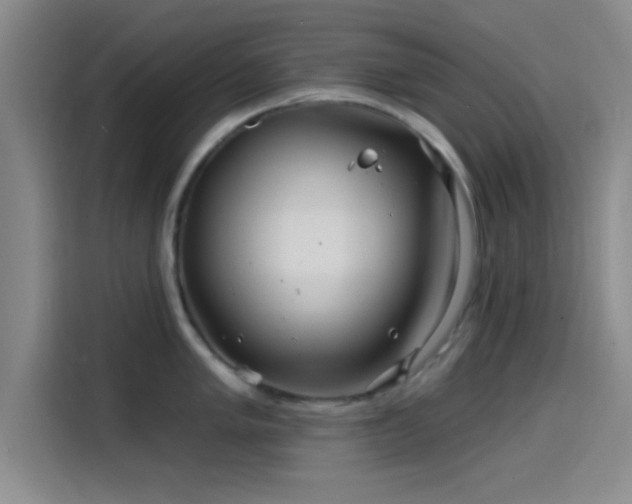 X0000114201005200910161221