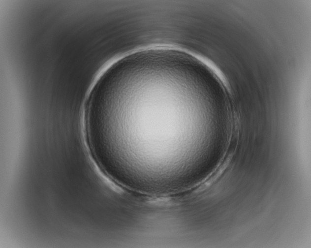 X0000114201006200910161221