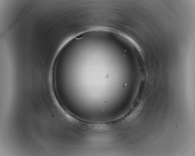 X0000114201007200910161221