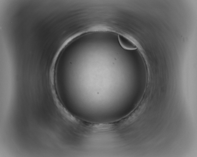 X0000114201008200910161221