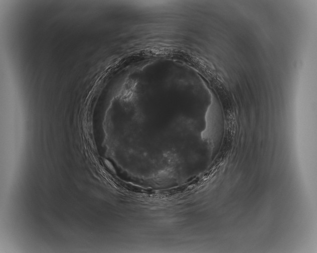 X0000114201009200910161220