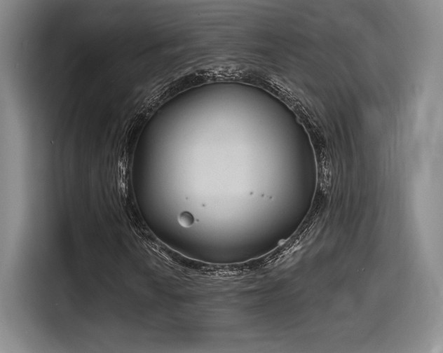 X0000114201010200910161220