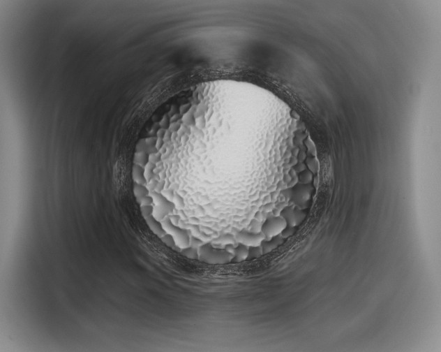 X0000114201011200910161220