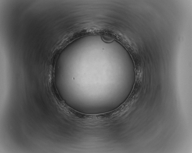 X0000114201012200910161220