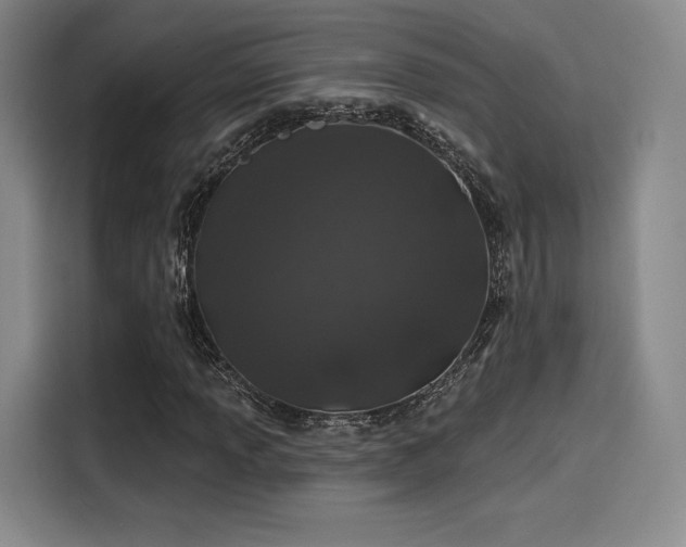 X0000114201013200910161220