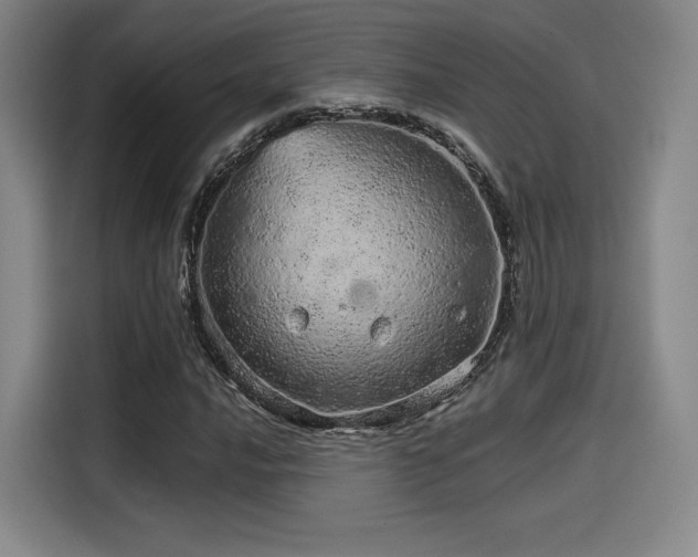 X0000114201016200910161220