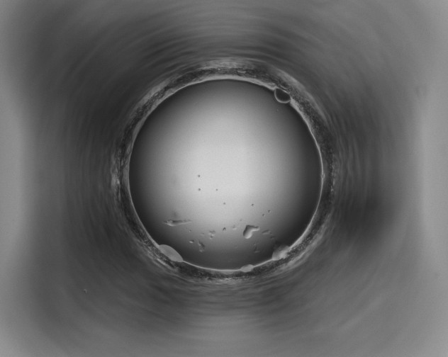 X0000114201017200910161220