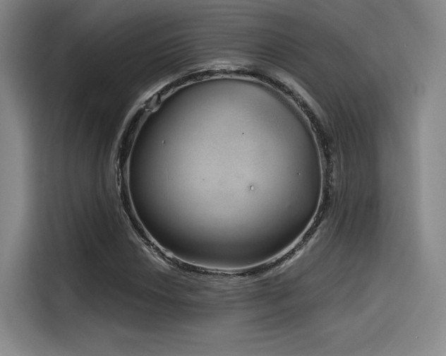 X0000114201018200910161220