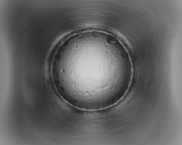 X0000114201019200910161220