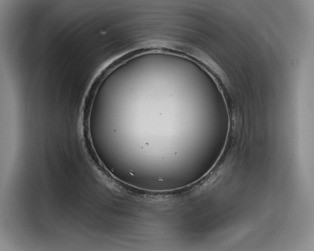 X0000114201020200910161220