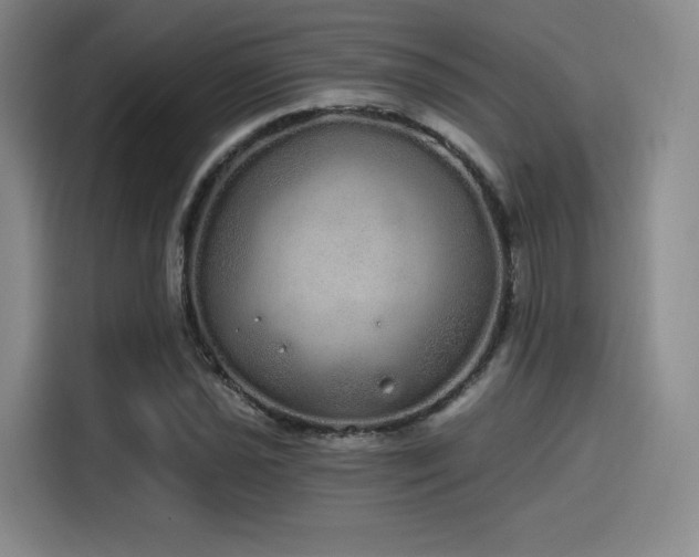 X0000114201021200910161220