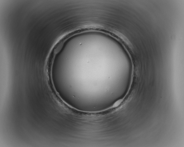 X0000114201022200910161220