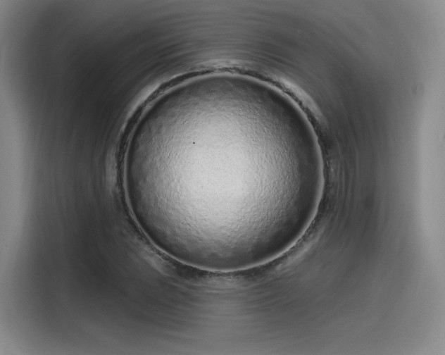 X0000114201023200910161220