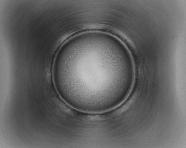 X0000114201025200910161220