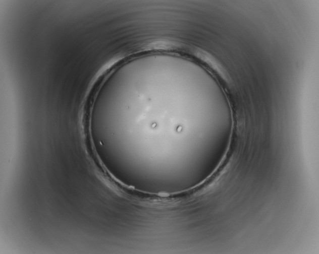 X0000114201026200910161220