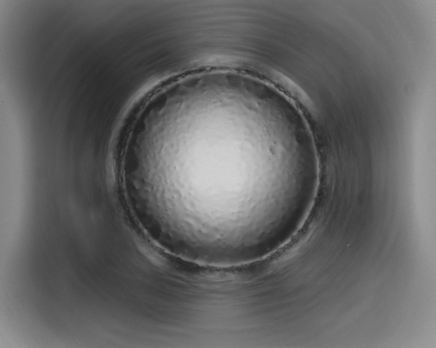 X0000114201027200910161220