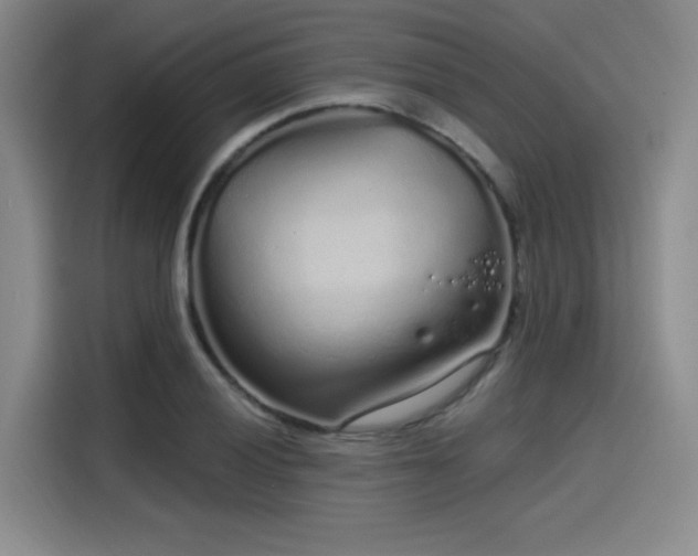 X0000114201028200910161220