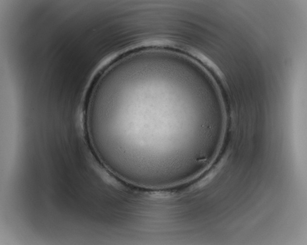 X0000114201029200910161220