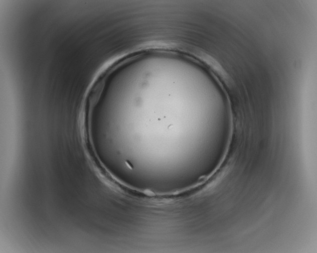 X0000114201030200910161221