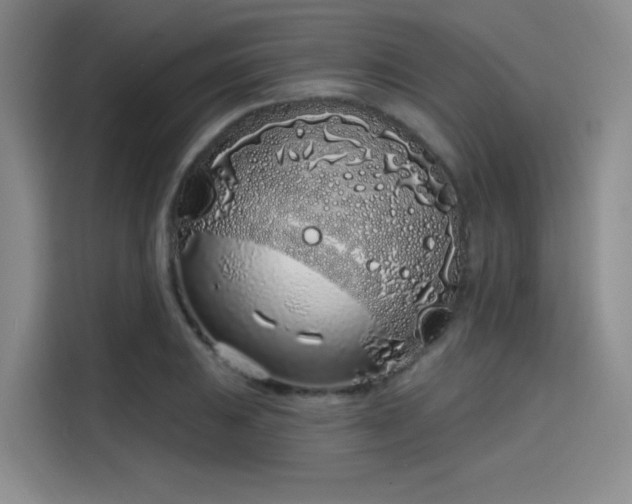 X0000114201031200910161221