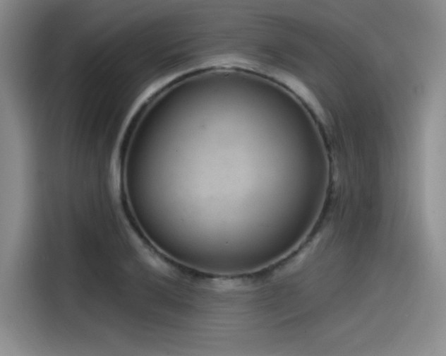 X0000114201032200910161221