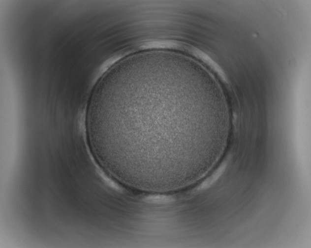 X0000114201033200910161221