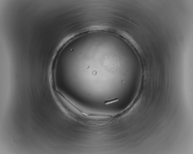 X0000114201034200910161221