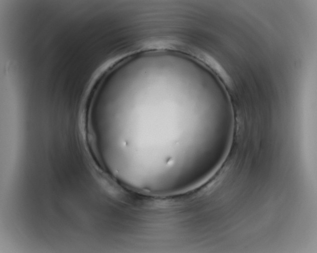 X0000114201035200910161221