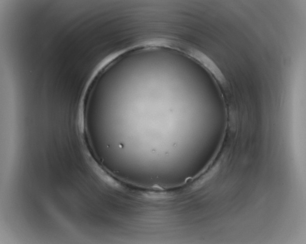 X0000114201036200910161221