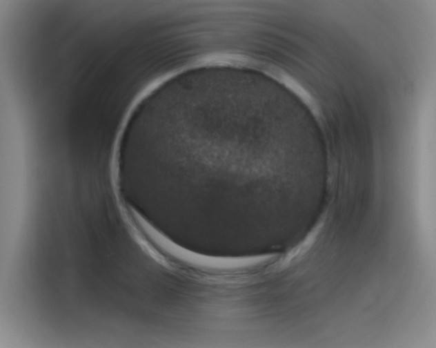 X0000114201037200910161221