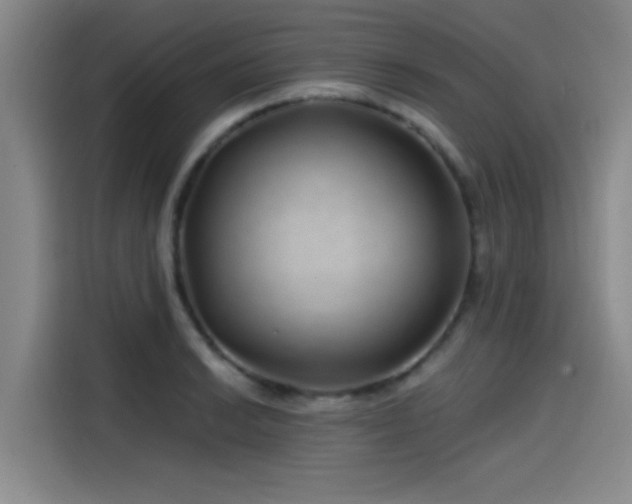 X0000114201038200910161221