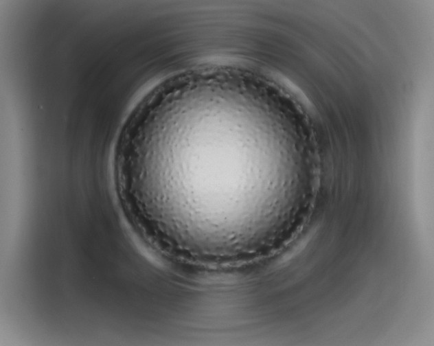 X0000114201039200910161221