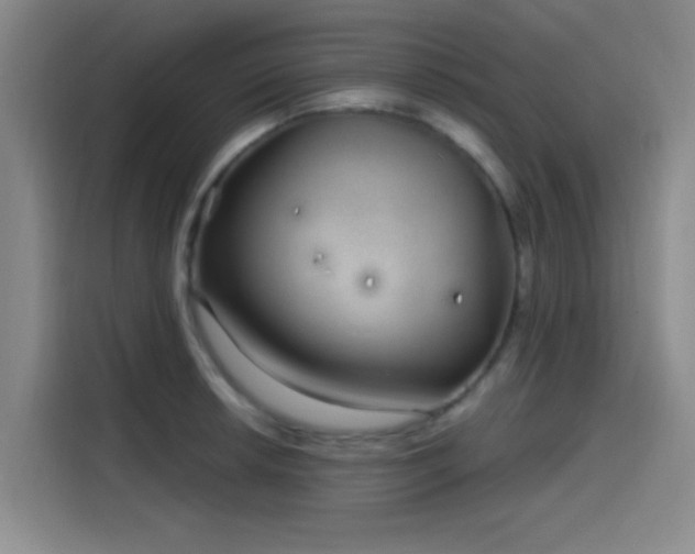 X0000114201042200910161221