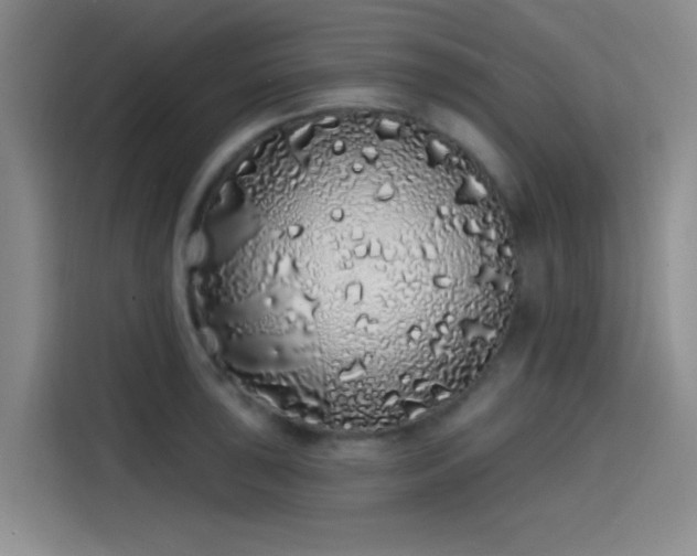 X0000114201043200910161221